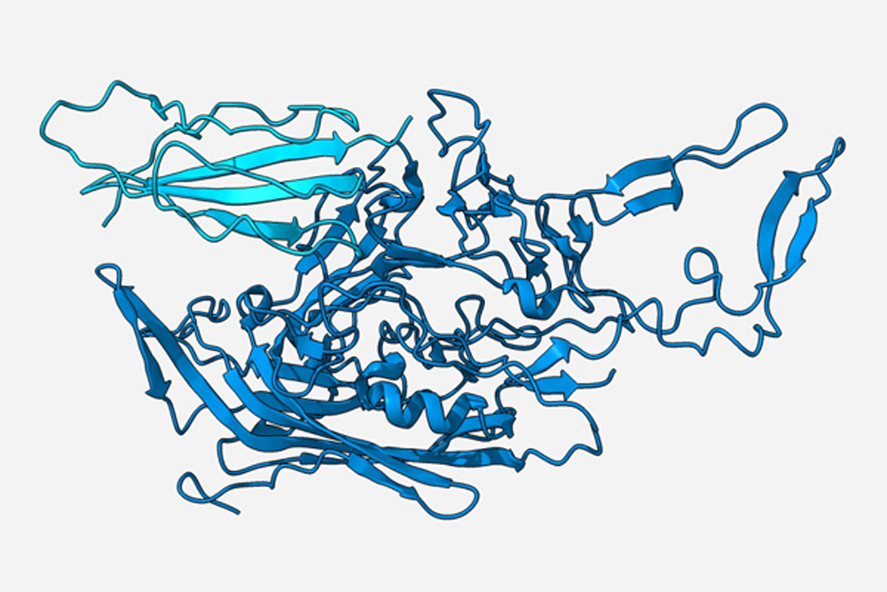 Predicting Protein Interactions